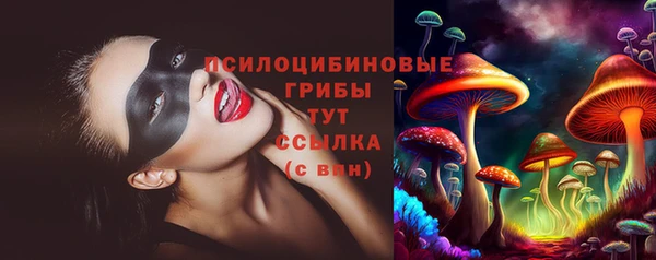 дживик Верхний Тагил