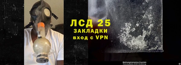 дживик Верхний Тагил