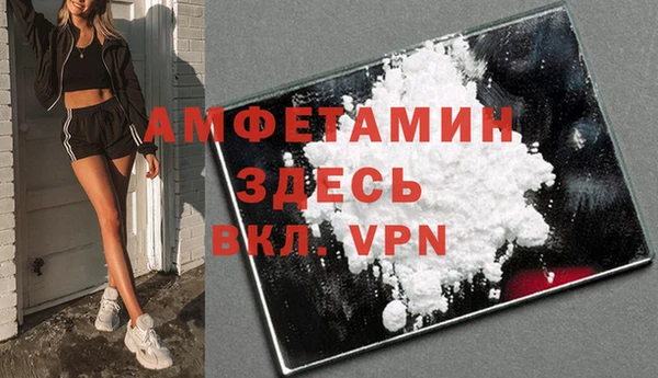 дживик Верхний Тагил