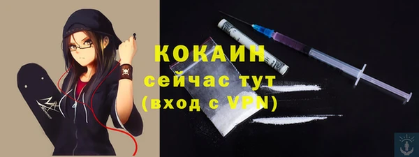 дживик Верхний Тагил