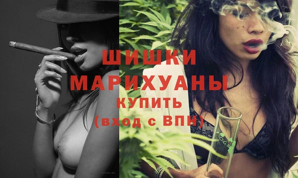 дживик Верхний Тагил
