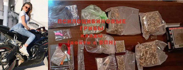 дживик Верхний Тагил