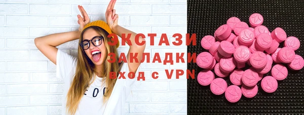 дживик Верхний Тагил