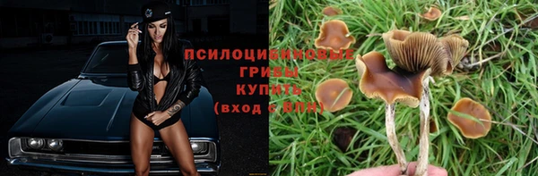 гидропоника Верхнеуральск