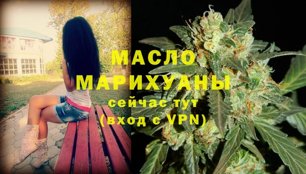 дживик Верхний Тагил