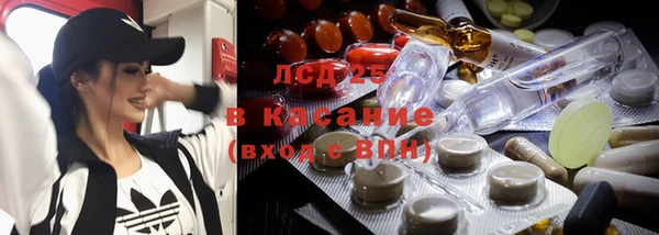 дживик Верхний Тагил